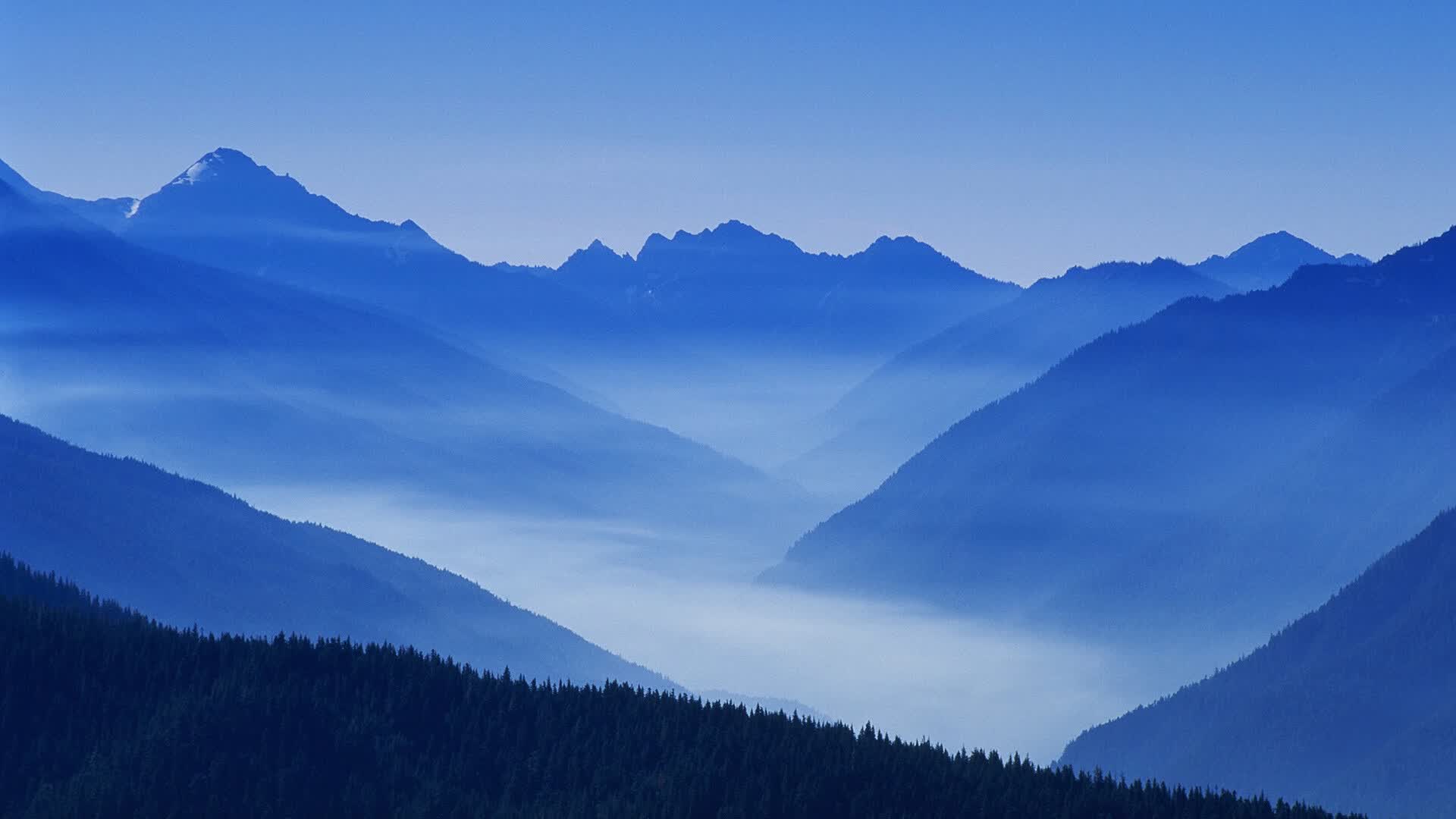 世界举重青年联赛选手科研项目结题成果发布会举行，举重世界比赛